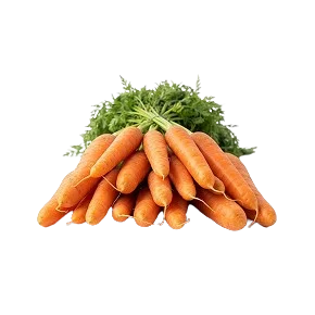Carrot