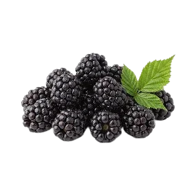 Black Berry