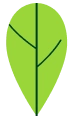 Leaf background